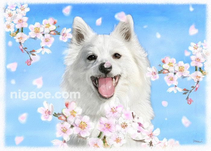 ペット似顔絵のモデルさん2 - ペット似顔絵の制作-似顔絵の家