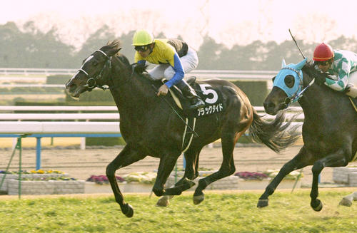 アーモンドアイとイクイノックスの子どもは多分世界一に」ルメール騎手