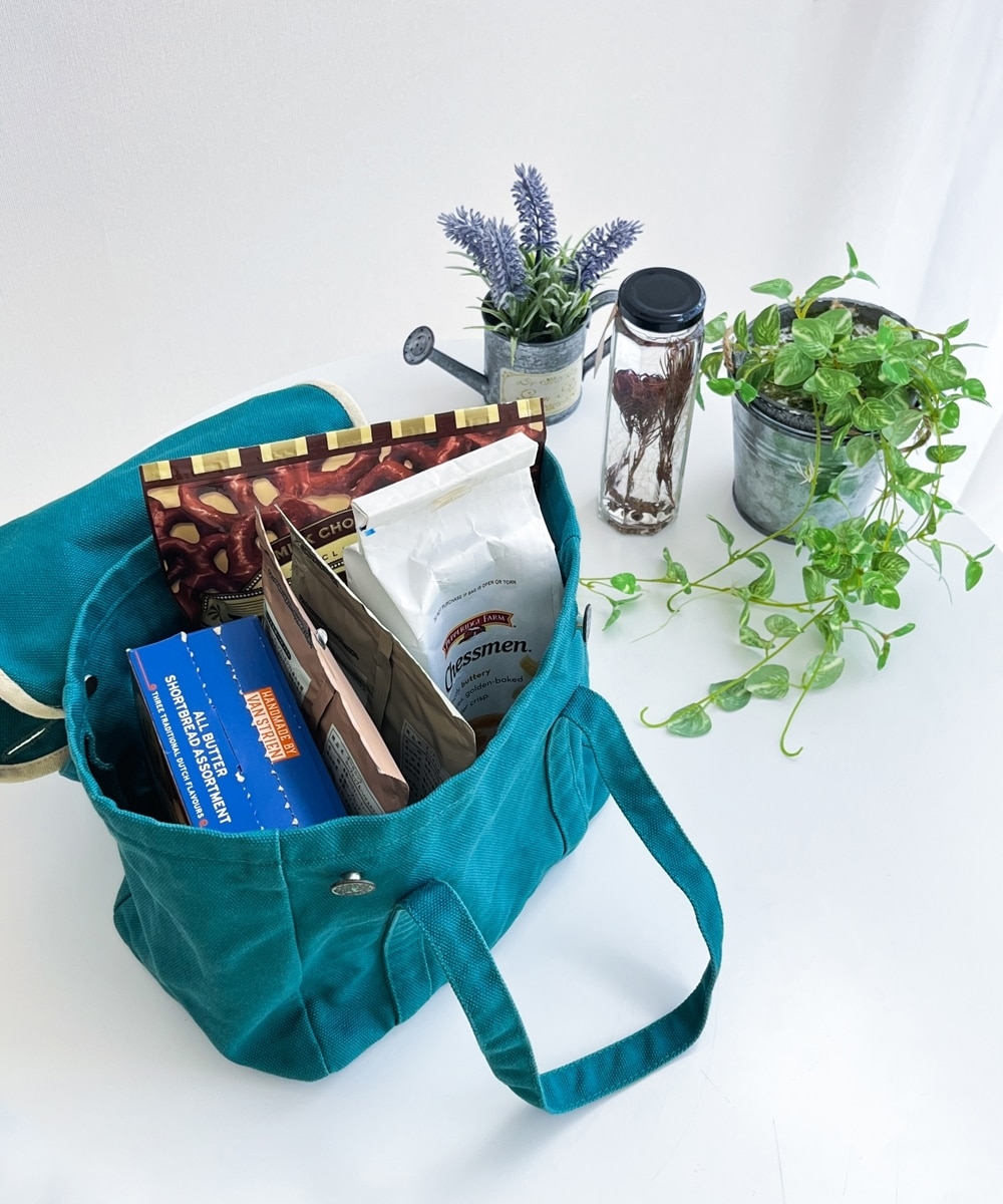 綿100% 日本製 帆布ミニトートバッグ 岡山県倉敷で生まれた帆布 ふた付