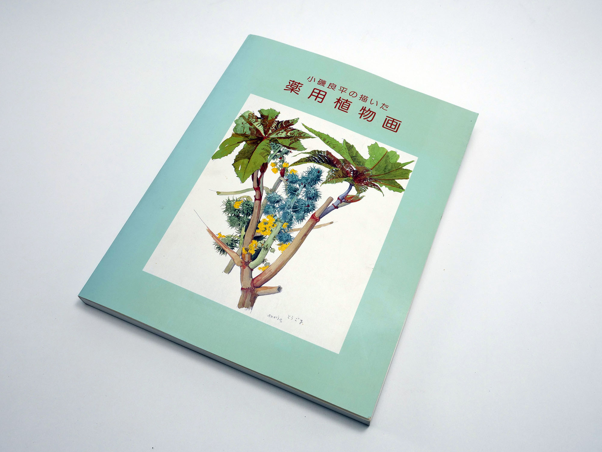 薬用植物画譜」 小磯良平・刈米達夫（1971）