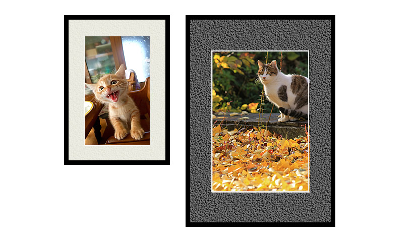 黒いフレームで写真を飾ろう！ | 株式会社ソフケン