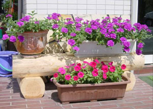 天然木の丸太や切り株、輪切り板を使用した木製の花台、プランター台