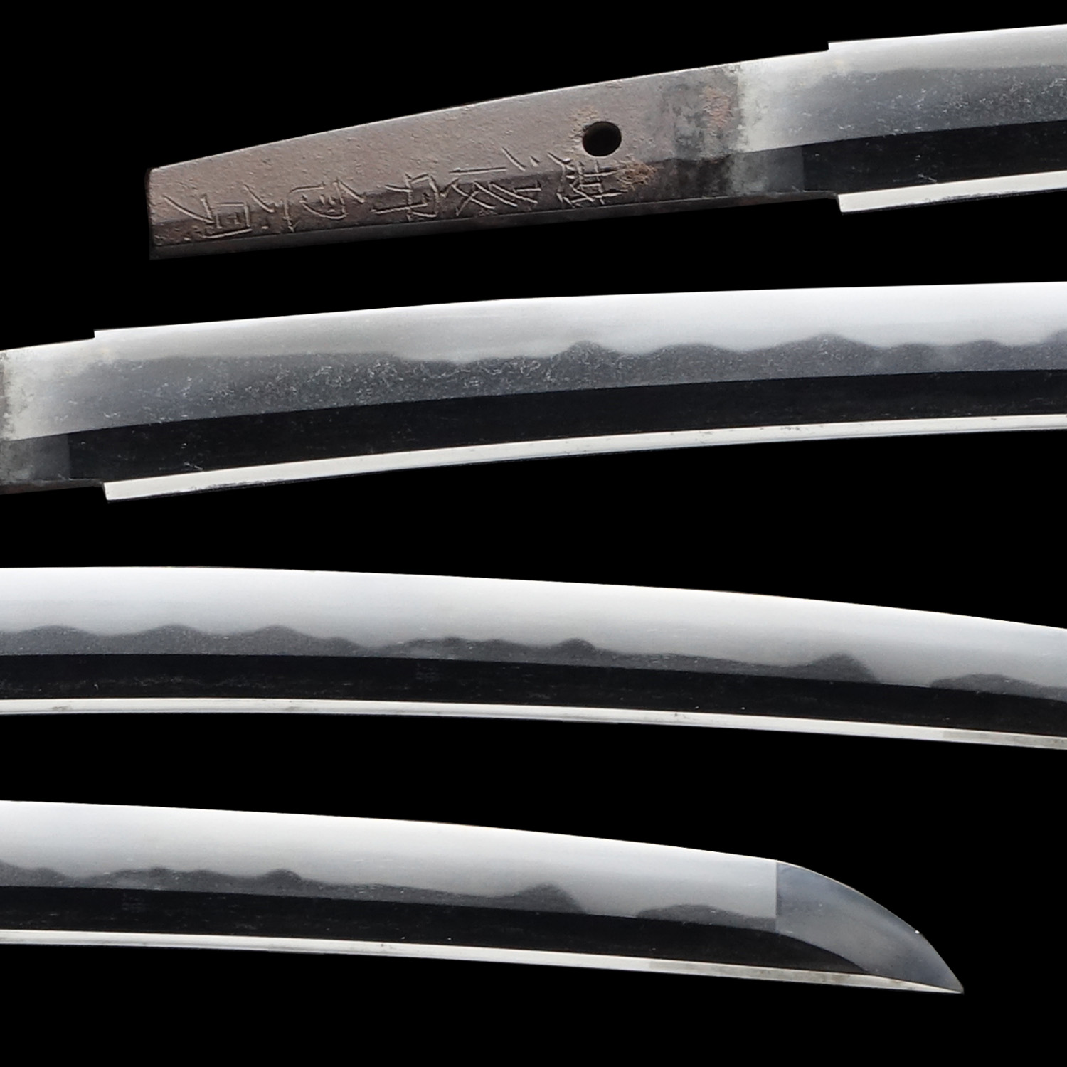 Early Edo Wakizashi Signed by Kanesada | Samurai Museum Shop