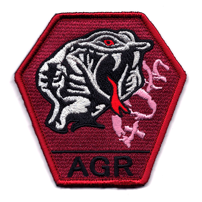 自衛隊グッズ 航空自衛隊 小松基地 飛行教導群 アグレッサー 創設40