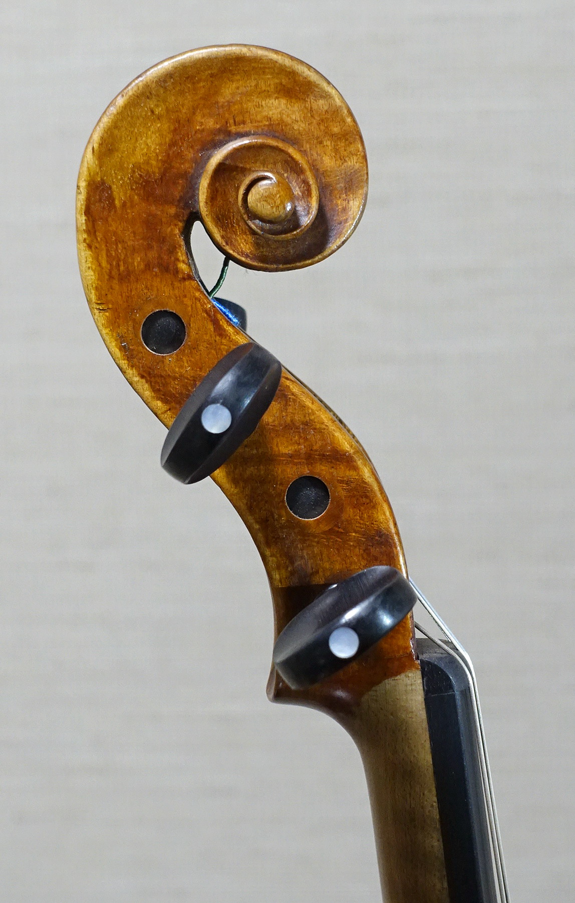 ドイツオールドヴァイオリン | Sebastian Klotz | 販売 | 弦楽器サラサーテ