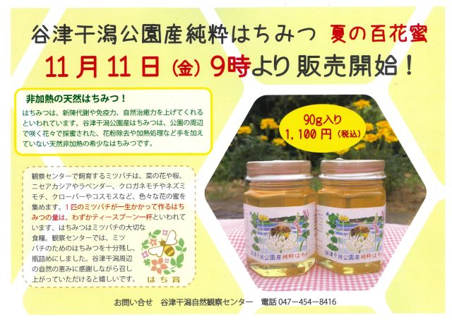 はちみつ販売のお知らせ【11/11(金)から】※終了しました｜お知らせ
