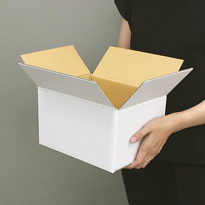 ケースA式撥水白60サイズ240×190×145: 梱包資材｜包装資材・梱包資材