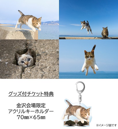 五十嵐健太「飛び猫」写真展 | 石川県政記念しいのき迎賓館