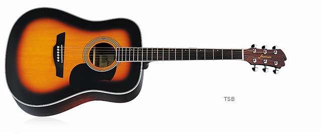 アコースティックギター】最初の1本はコレで決まり！Jamesギター徹底