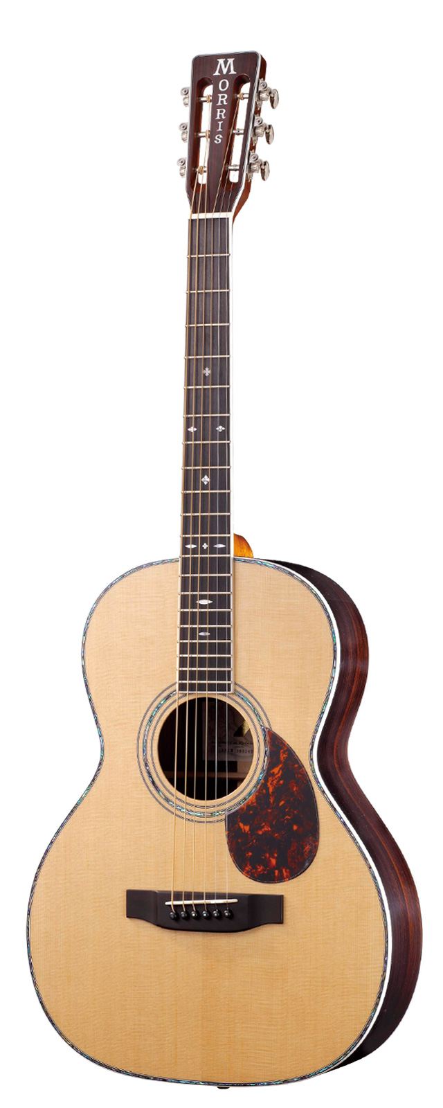 Morrisフェア開催中です！12月4日まで！｜島村楽器 イオンモール岡崎店