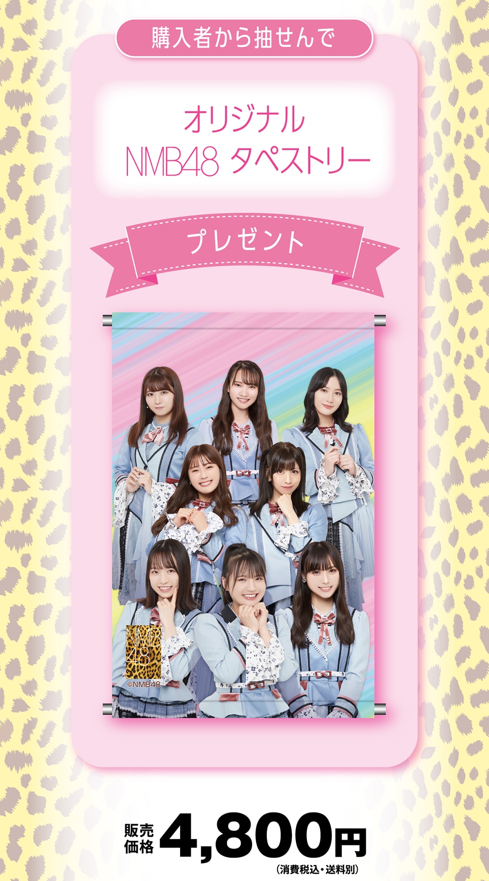 NMB48 フレーム切手セット｜郵便局のネットショップ