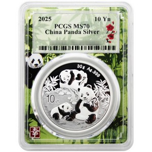 2025 China Silver Panda 30g BU Coins | SilverTowne