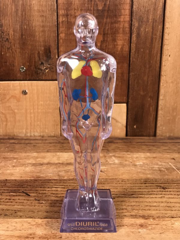 Merck & Co. “Diuril” Chlorothiazide Display Figure メルクアンド