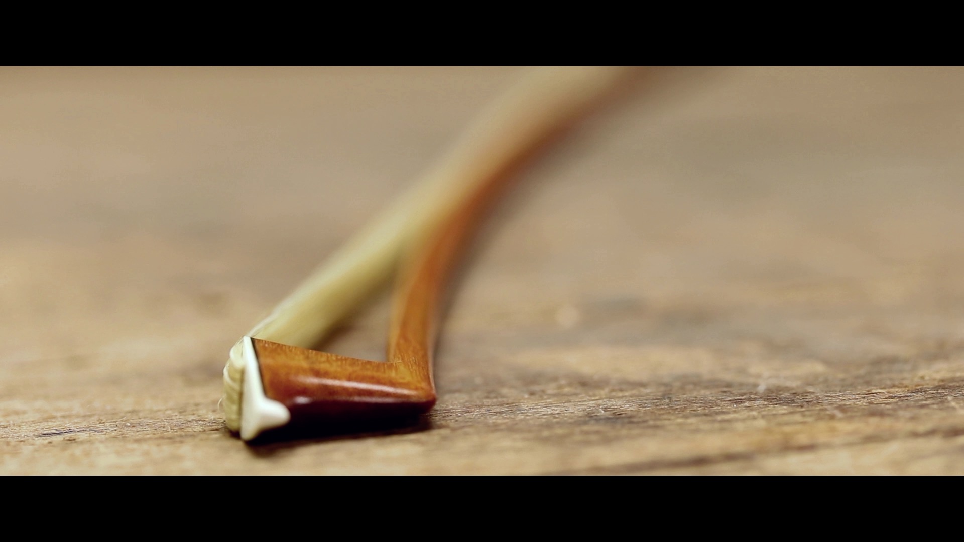 プロフィール | 杉藤楽弓社