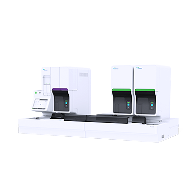 XN-3100 - Products Detail