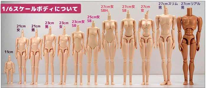 1/6サイズオビツボディのサイズ一覧表｜カスタムドールの通販｜PARABOX