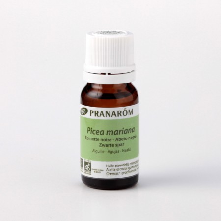 ブラックスプルース – プラナロム エッセンシャルオイル・精油｜健草医学舎