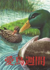 令和3年度（2021年度）愛鳥週間用ポスター原画コンクール 入賞作品