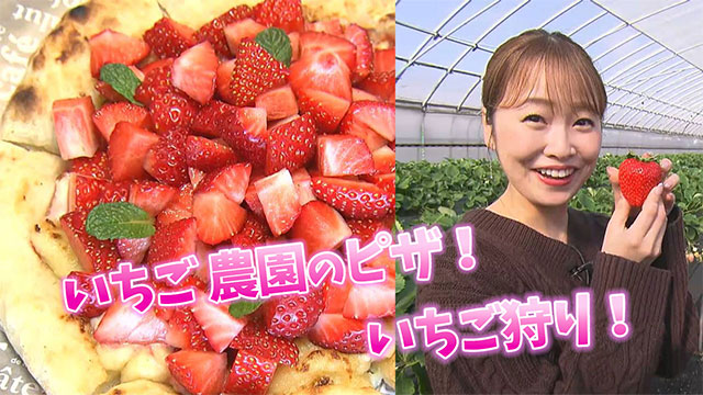 いちご狩りはもちろん！いちご農園ならではのいちご盛り盛りピザ
