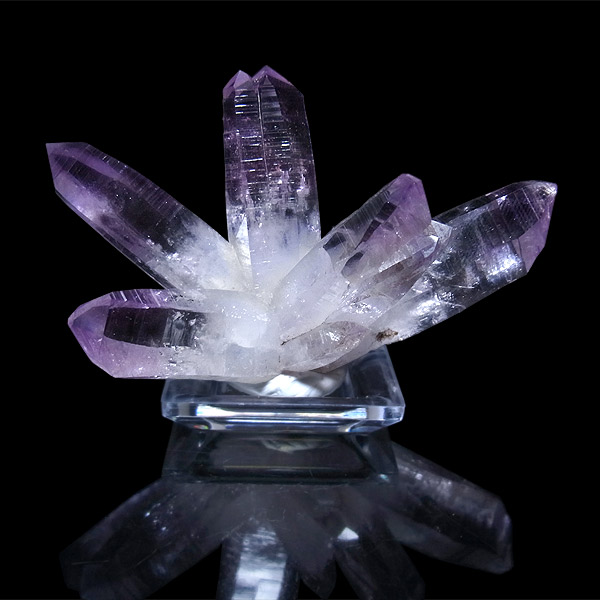 岡山のパワーストーン、風水・開運グッズのお店 龍祥本舗 / ベラクルス