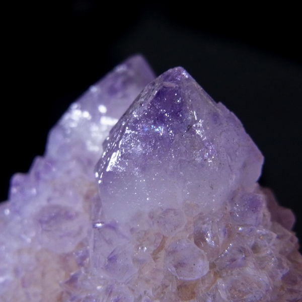 岡山のパワーストーン、風水・開運グッズのお店 龍祥本舗 / カクタス