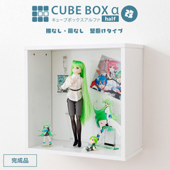 完成品】キューブボックスαハーフ改 可動棚無し 壁掛け背面鉄板