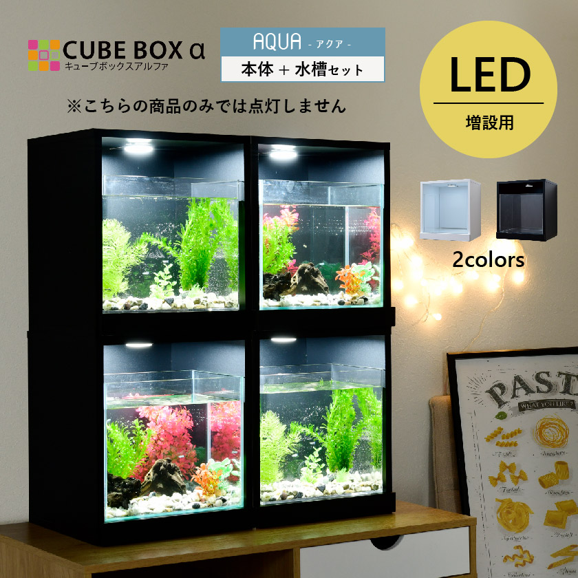 CBA ｱｸｱ 水槽ｾｯﾄ 増設用 アクア CUBE BOXα