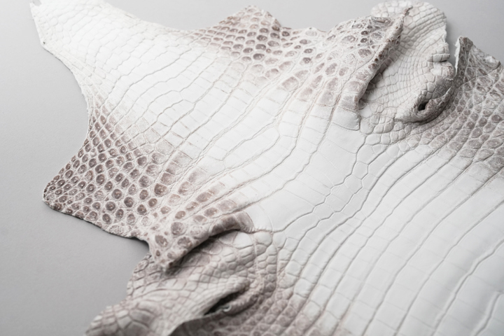 ヒマラヤクロコダイルシリーズについてのお話 | WILDSWANS(ワイルド