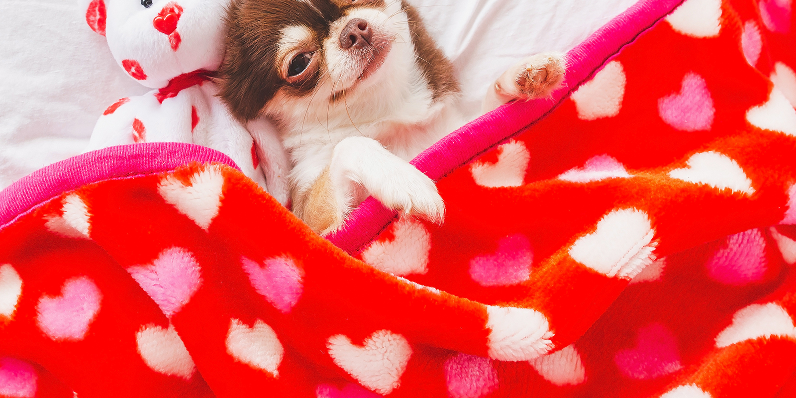 オリジナルブランケット製作・OEM生産 | ユニファースト株式会社