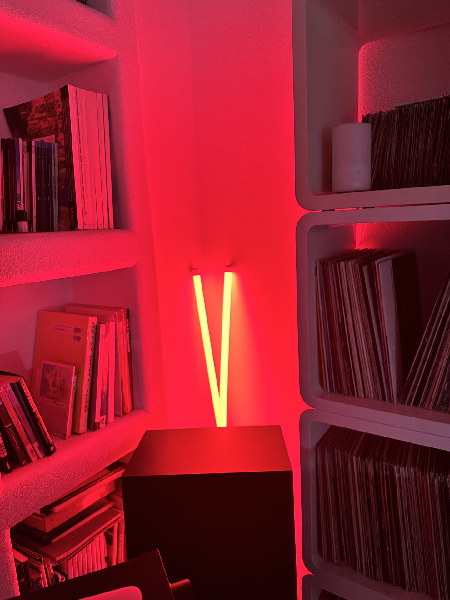 HAY NEON TUBE LED SLIM 120 ピンク ネオンチューブ HAY NEON TUBE LED