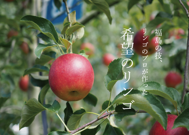 川崎町観光リンゴ園 ｜ ReBorn！KAWASAKIMACHI：福岡県田川郡川崎町