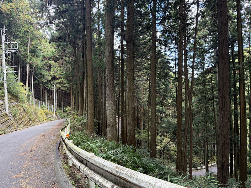 天目指峠 | ジャパン峠プロジェクト | JAPAN TOHGE PROJECT