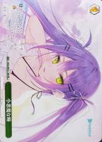 未来へ一緒に 尾丸ポルカ【ヴァイスシュヴァルツトレカお買得価格通販