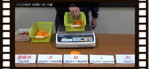 株式会社宝計機製作所 音声式重量選別機 分太Ⅱ TB-6Ⅱ/TB-15Ⅱ/TB-30Ⅱ