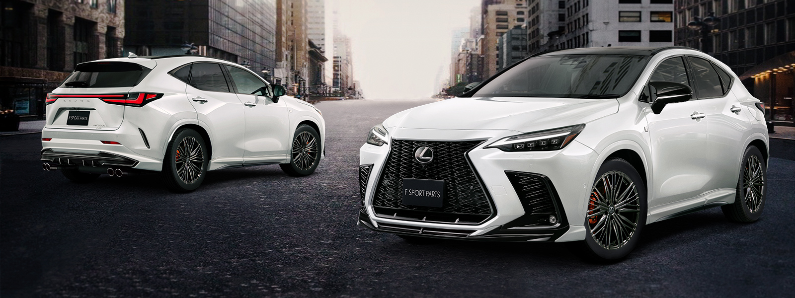 LEXUS NX F SPORT PARTS | TRD