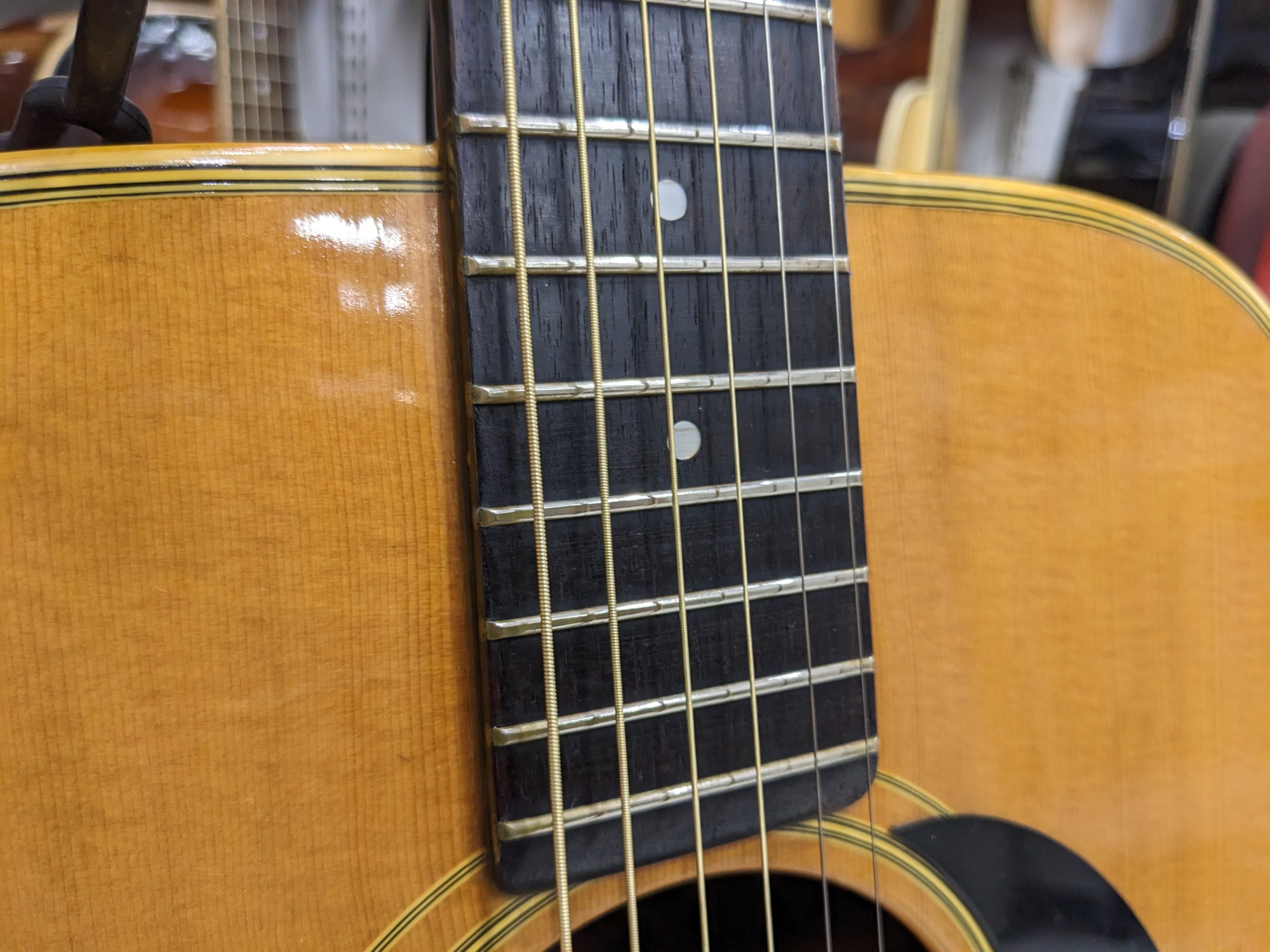 SUZUKI VIOLIN アコースティックギター F500入荷!!｜2023年03月09日