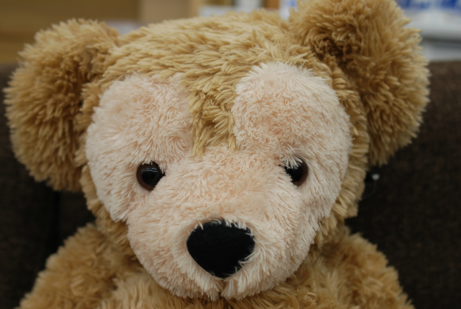 Mサイズダッフィー、Sサイズシェリーメイのぬいぐるみ買取入荷致し