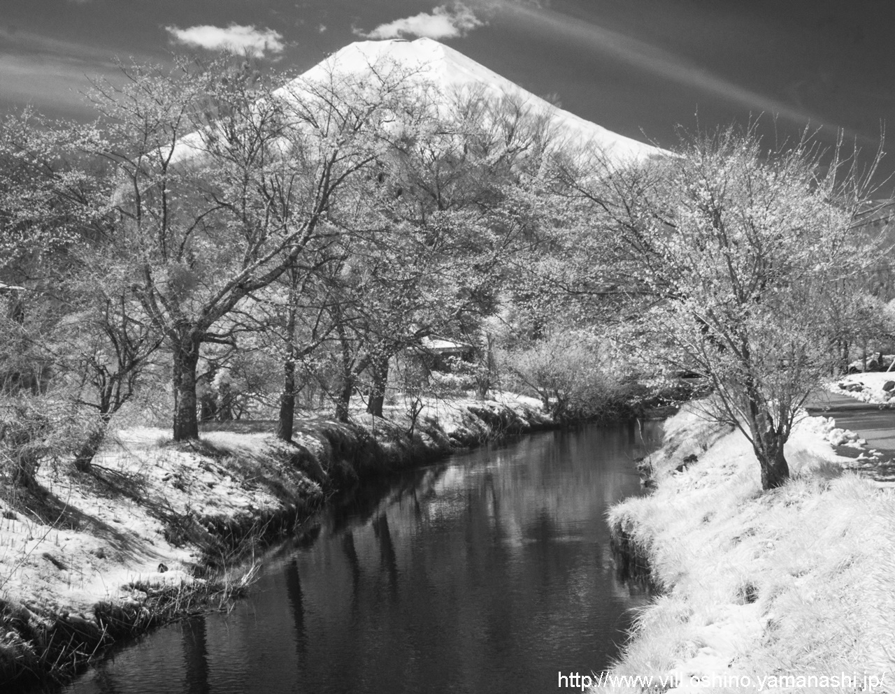 2021年 - 観光情報 - 忍野村（観光産業課）