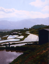 清水悦男の世界｜軽井沢ヴィラエトワール