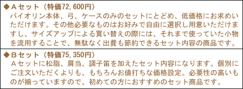 分数バイオリンセットValente／VN-60