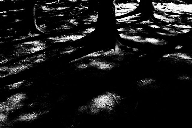 モノクローム 戸張良彦 北海道 十勝 フォトギャラリー monochrome