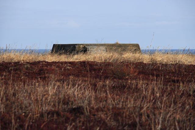 モノクローム 戸張良彦 北海道 十勝 フォトギャラリー monochrome