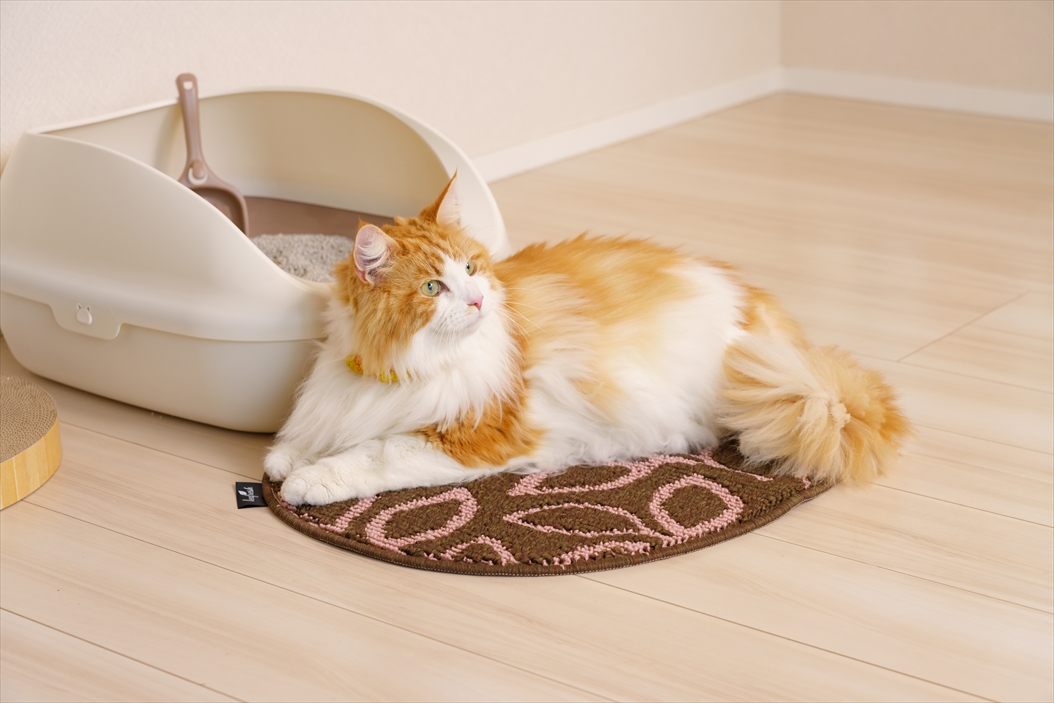 リーフレッシュ消臭マット ビーンズ 45×60 | 山崎産業株式会社 家庭