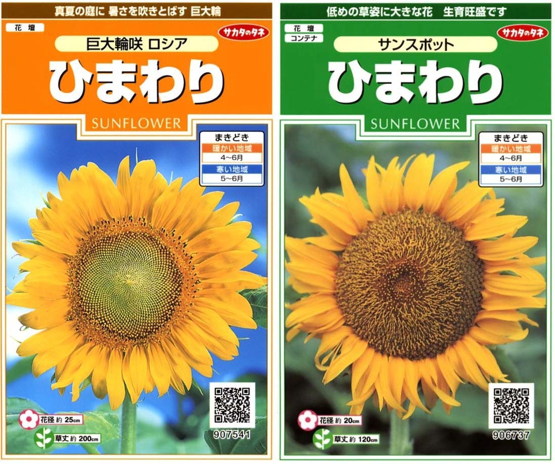 ヒマワリ ロシア サンスポット 花と野菜の種・肥料・農薬や