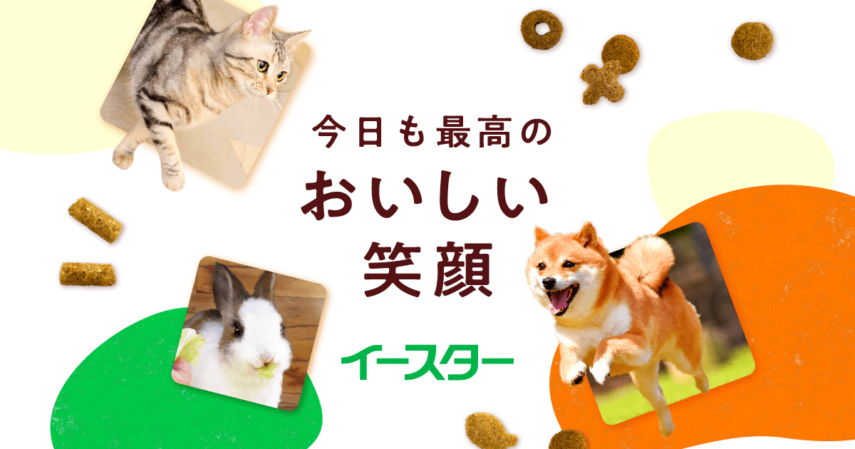 ウサギフード一覧 | イースター