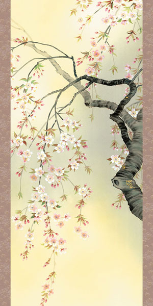 花鳥の掛け軸 森山観月作 四季趣彩 桜花爛漫