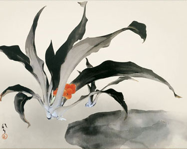 有名作家の掛け軸 川端龍子作 万年青