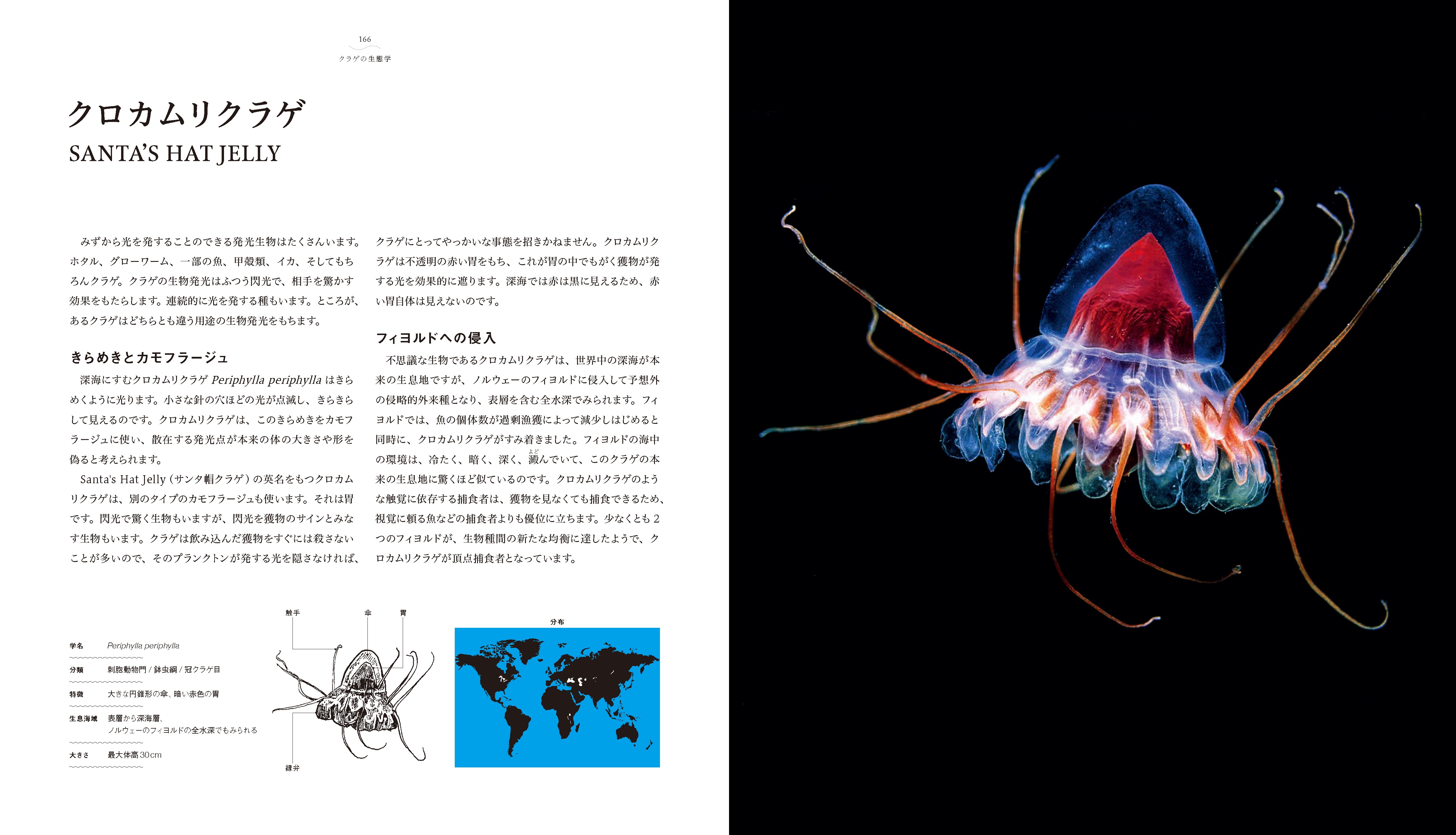 X-Knowledge | 世界で一番美しいクラゲの図鑑