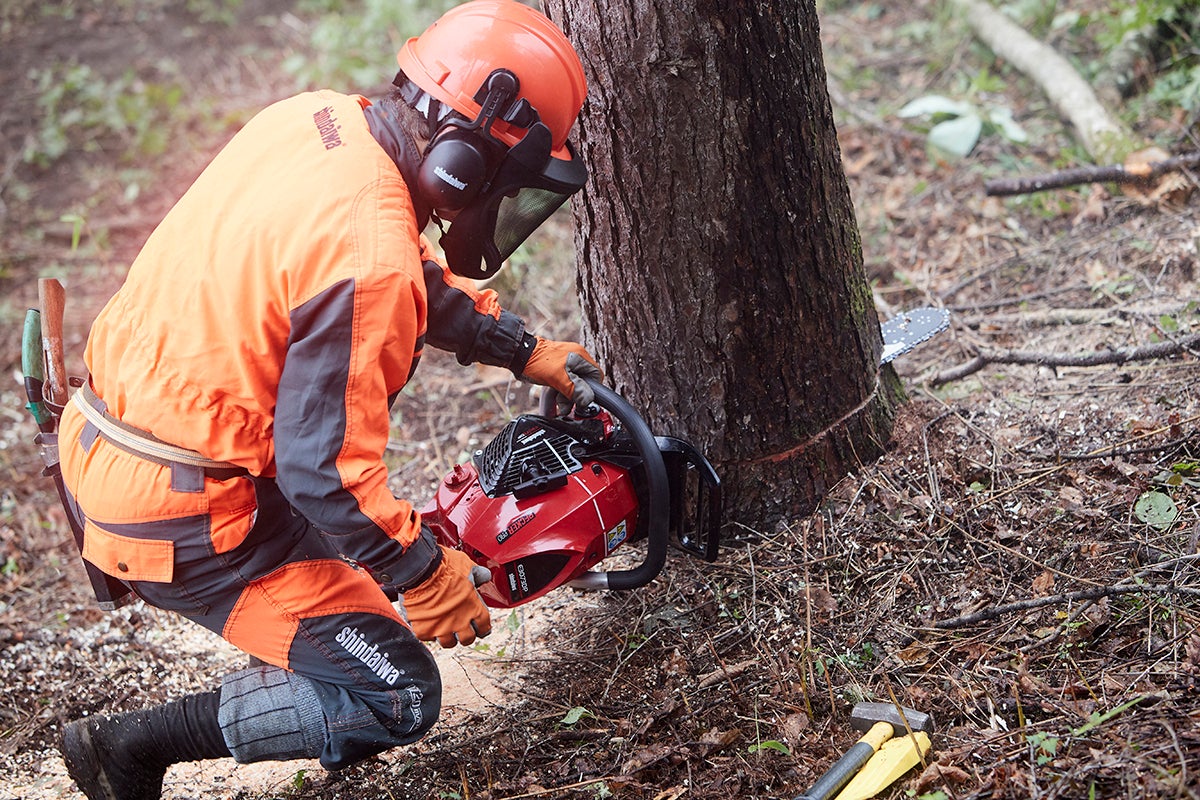 突き破れ、世界への壁 | 新ダイワ【公式】