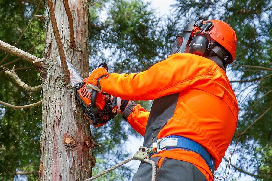 天下無SAW! 共立 CS252T 人を、山を、拓く。 | 共立【公式】